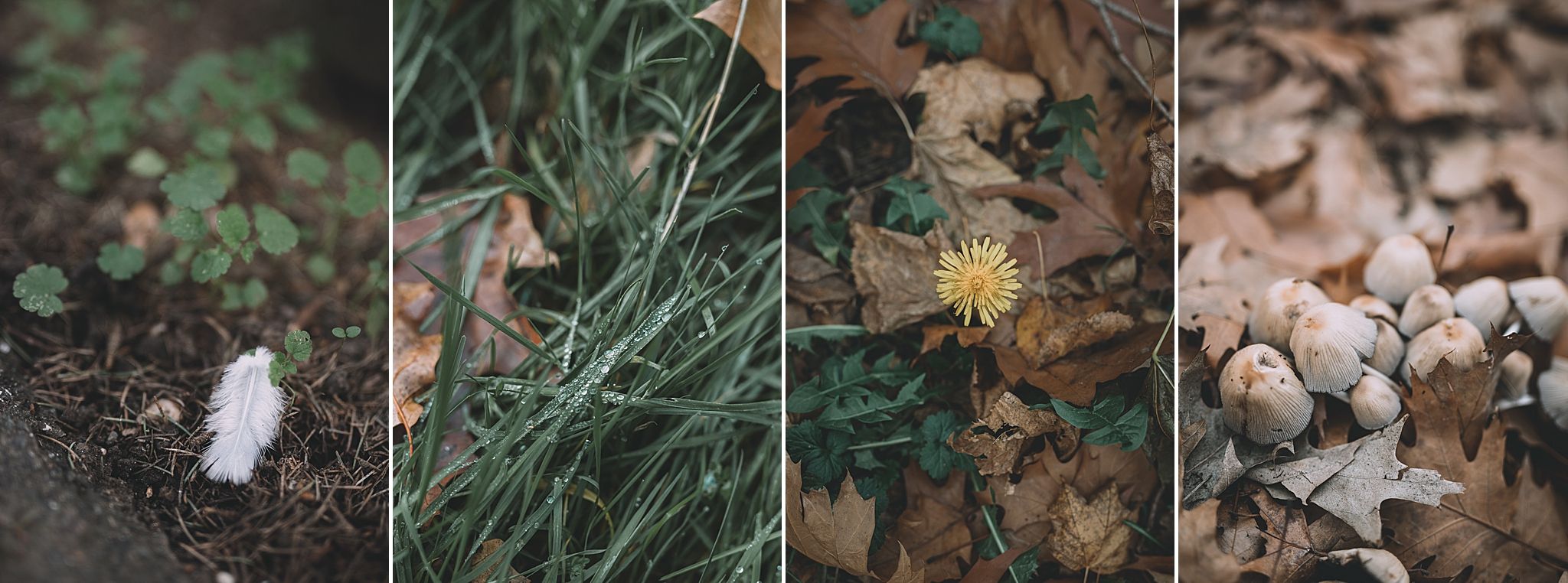 couleurs d'automne celine.s Photography