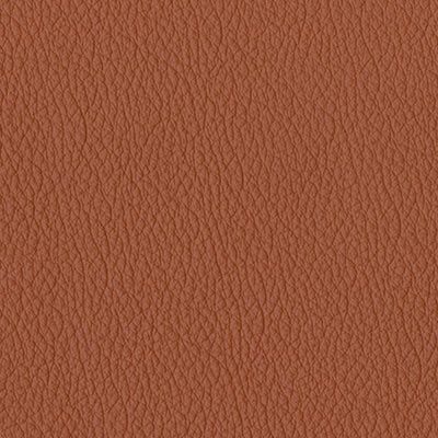 sienna earth original leather album colour swatch
