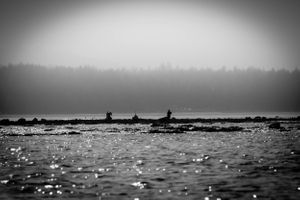 Early morning fishing in the Andaman Sea in Thailand