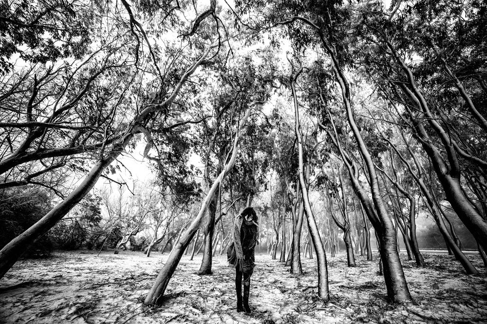 Black and white image of figure standing among tall eucalyptus trees in a forest.