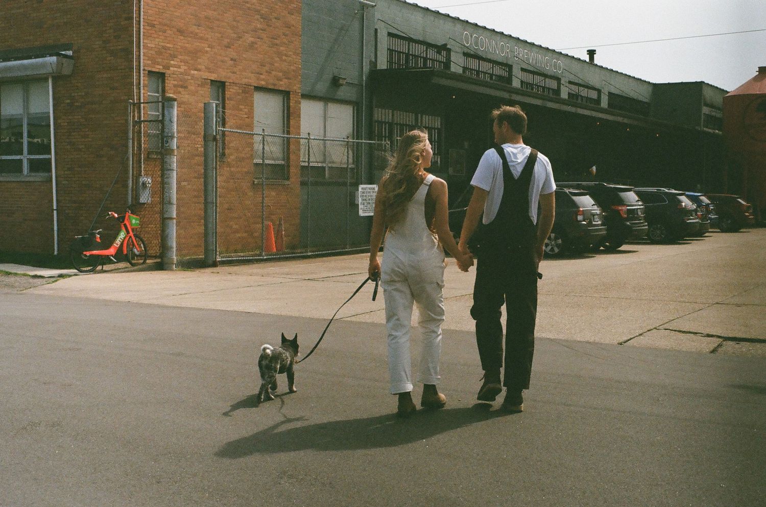 A couple walks their small dog together on a street with brick buildings in the background.