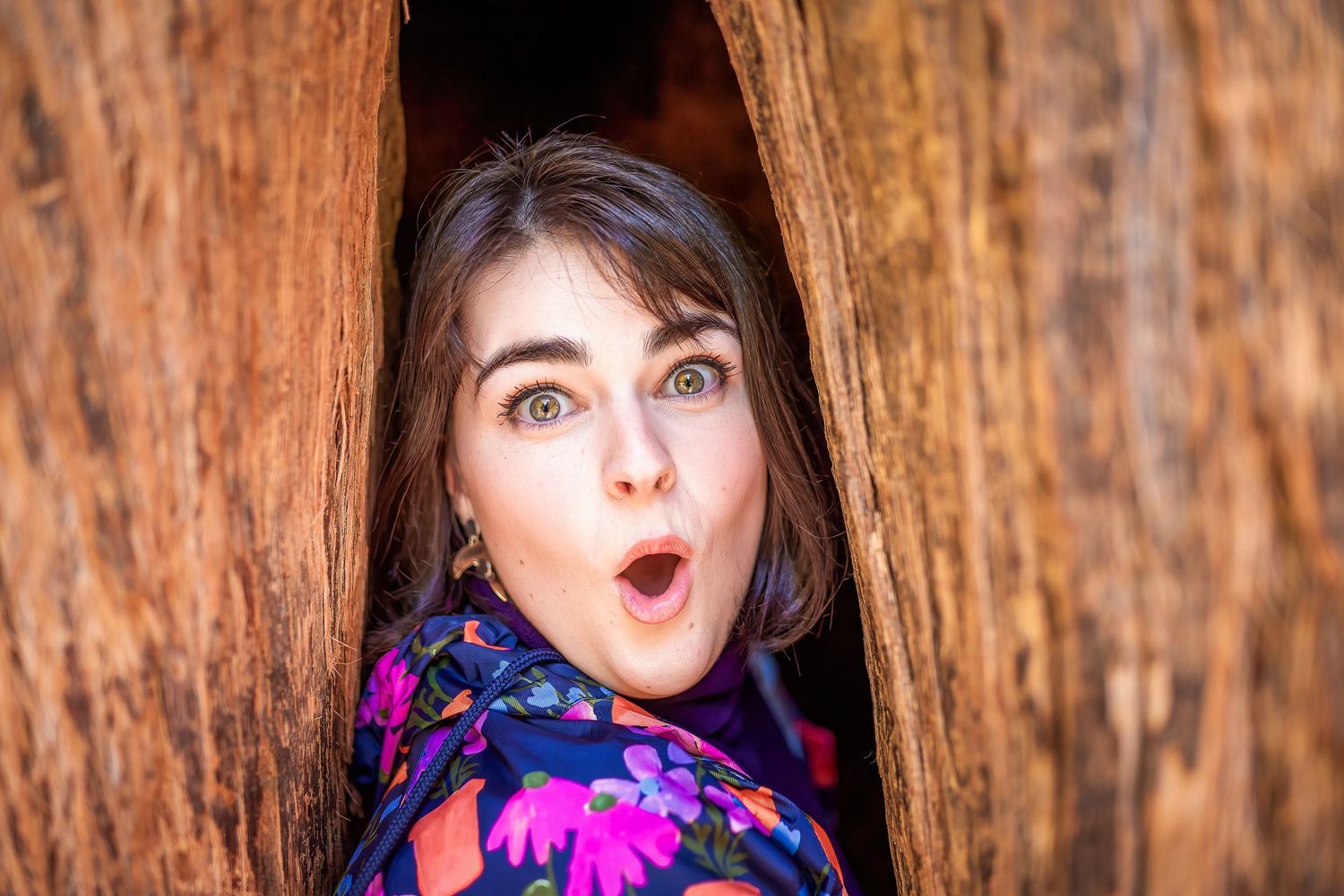 Female in a bright coat hiding in a tree hollow and pulling a fun face.