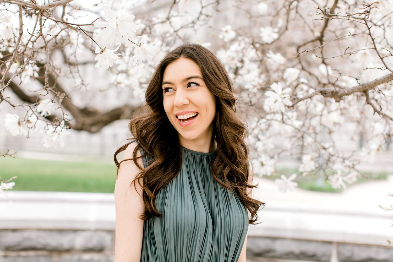 Washington DC cherry blossoms photography
