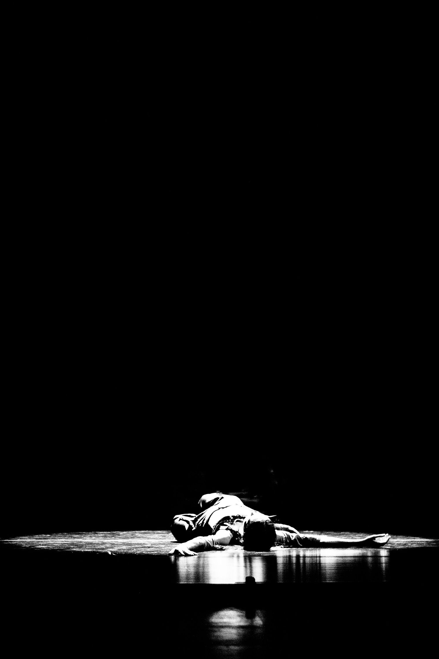 diana vishneva chicago sleeping beauty dreams