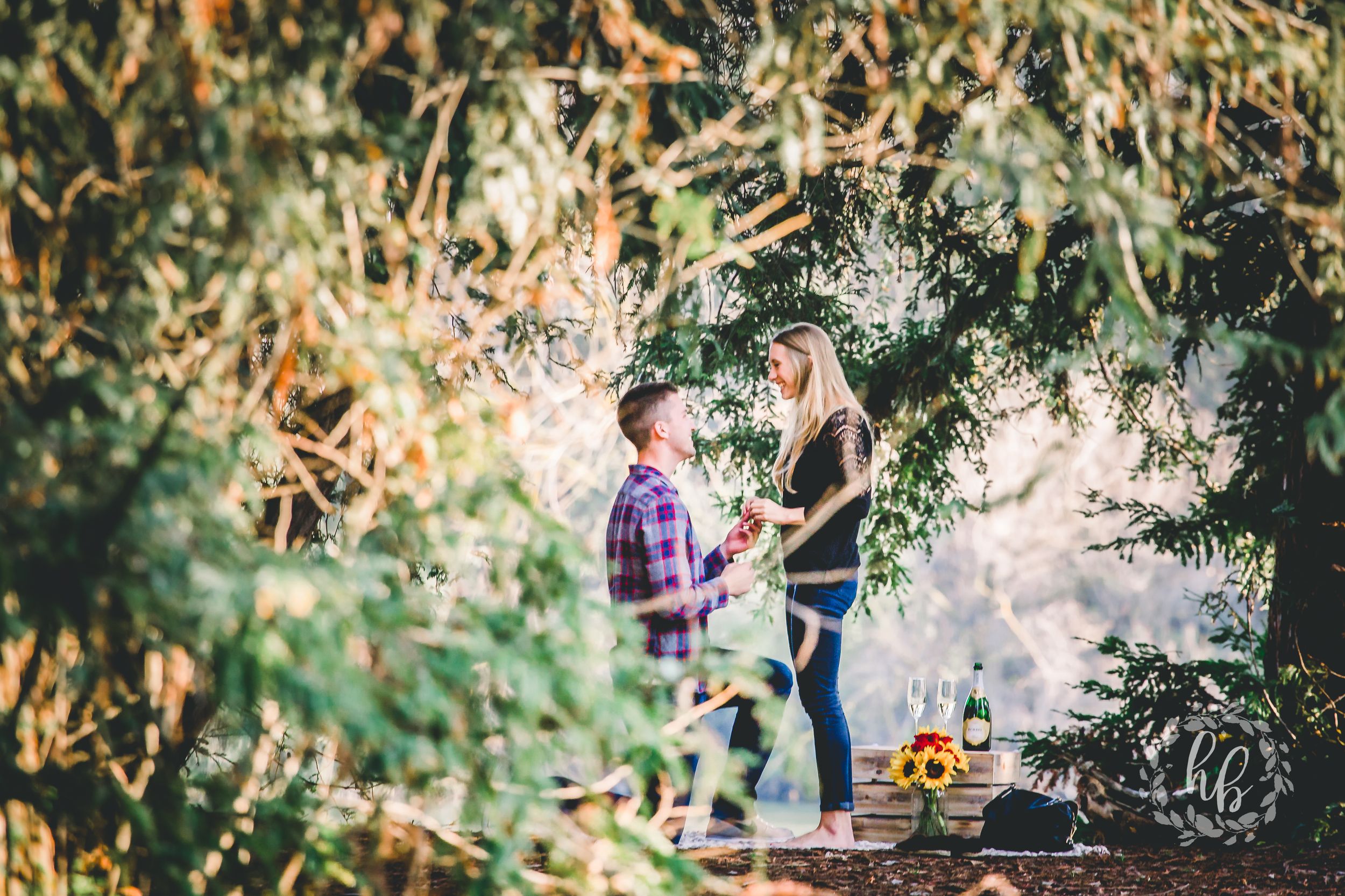 lakeside proposal engagement photos