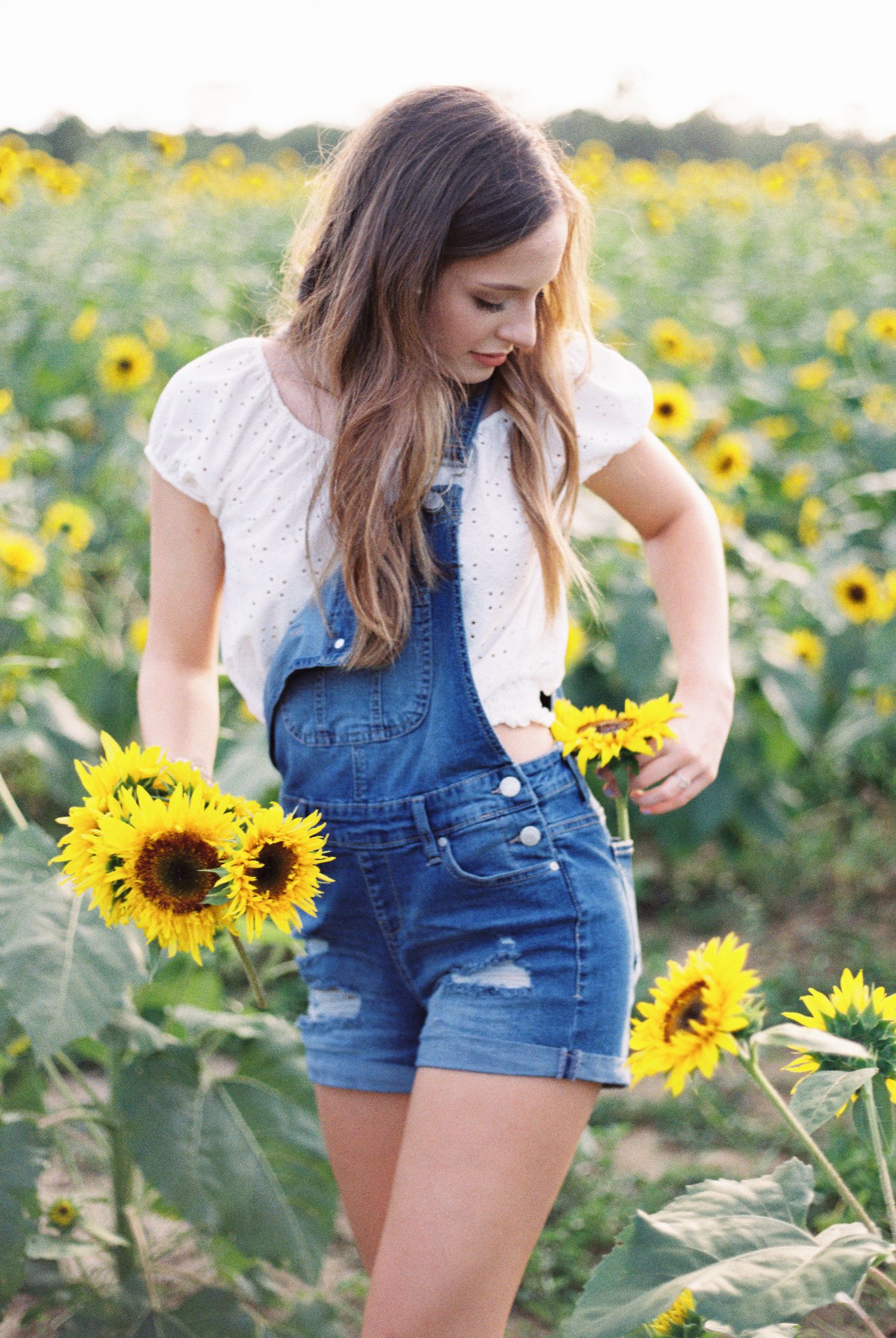 Louisiana senior portraits of a female Oak Forest Academy student at a sunflower field in Picayune, Mississippi