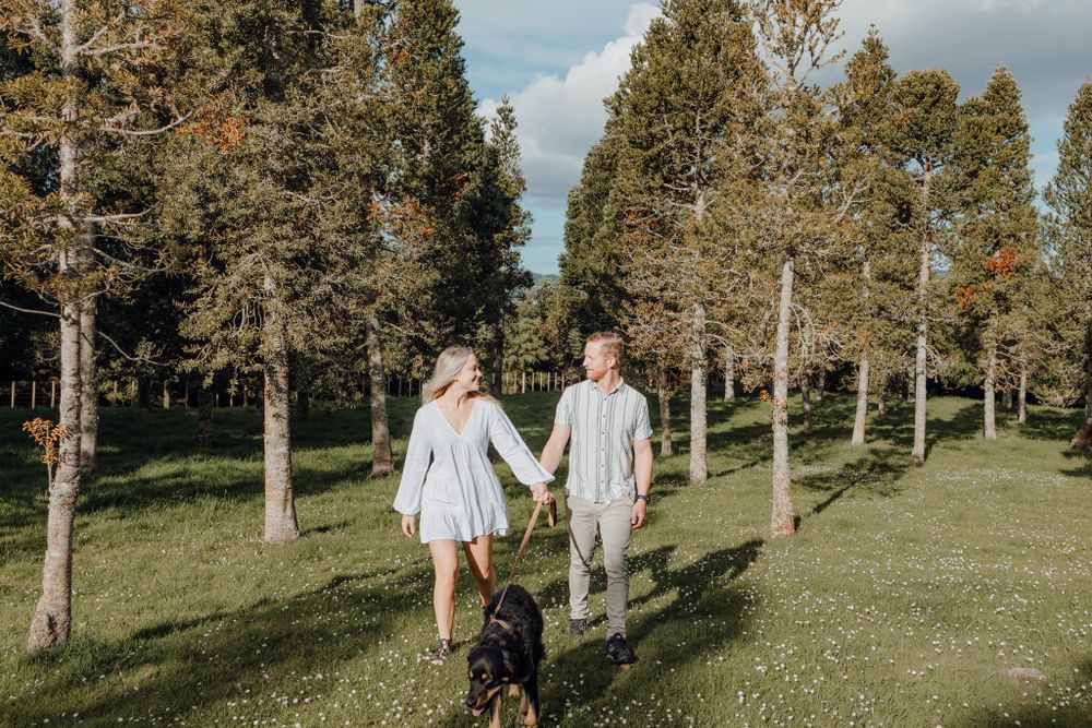 A couple walks hand in hand with their black dog through a grove of tall trees.