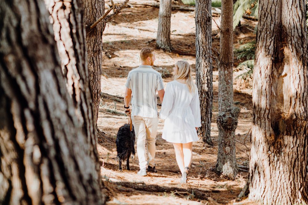 A couple and their black dog walk along a tree-lined dirt path on a sunny afternoon.