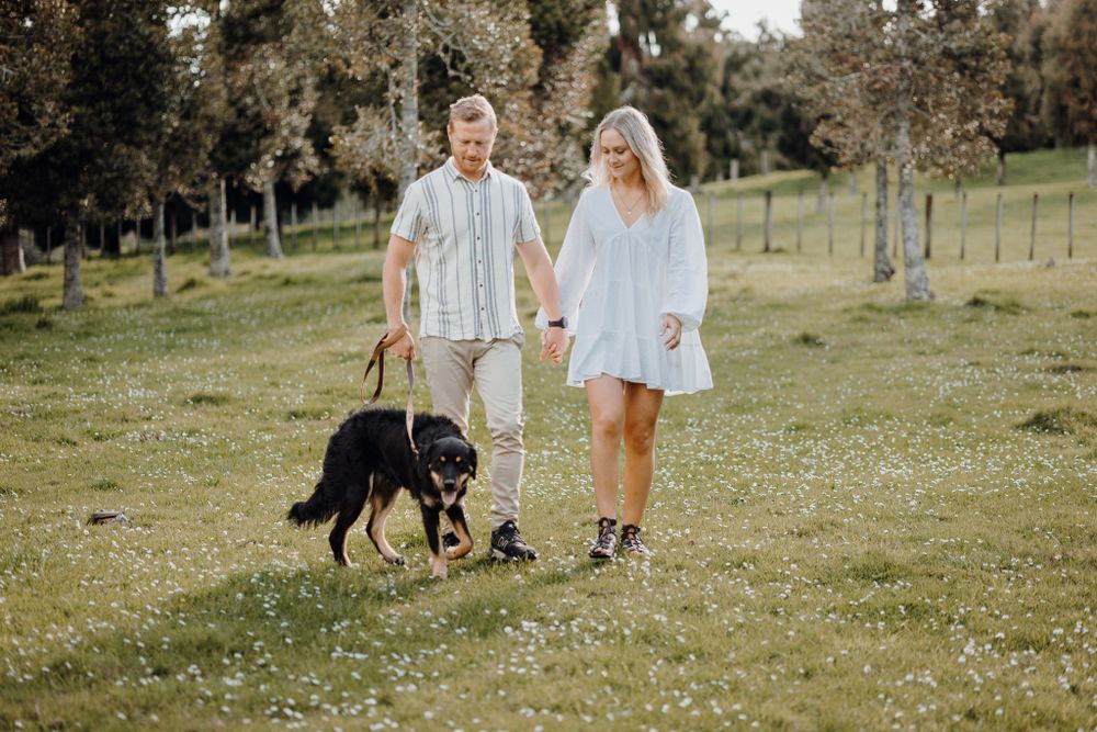 A couple walks their black dog through a grassy field dotted with small white flowers.