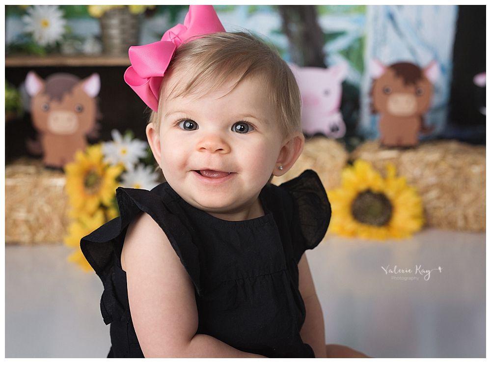 austin newborn photography cake smash cute farm theme one year session