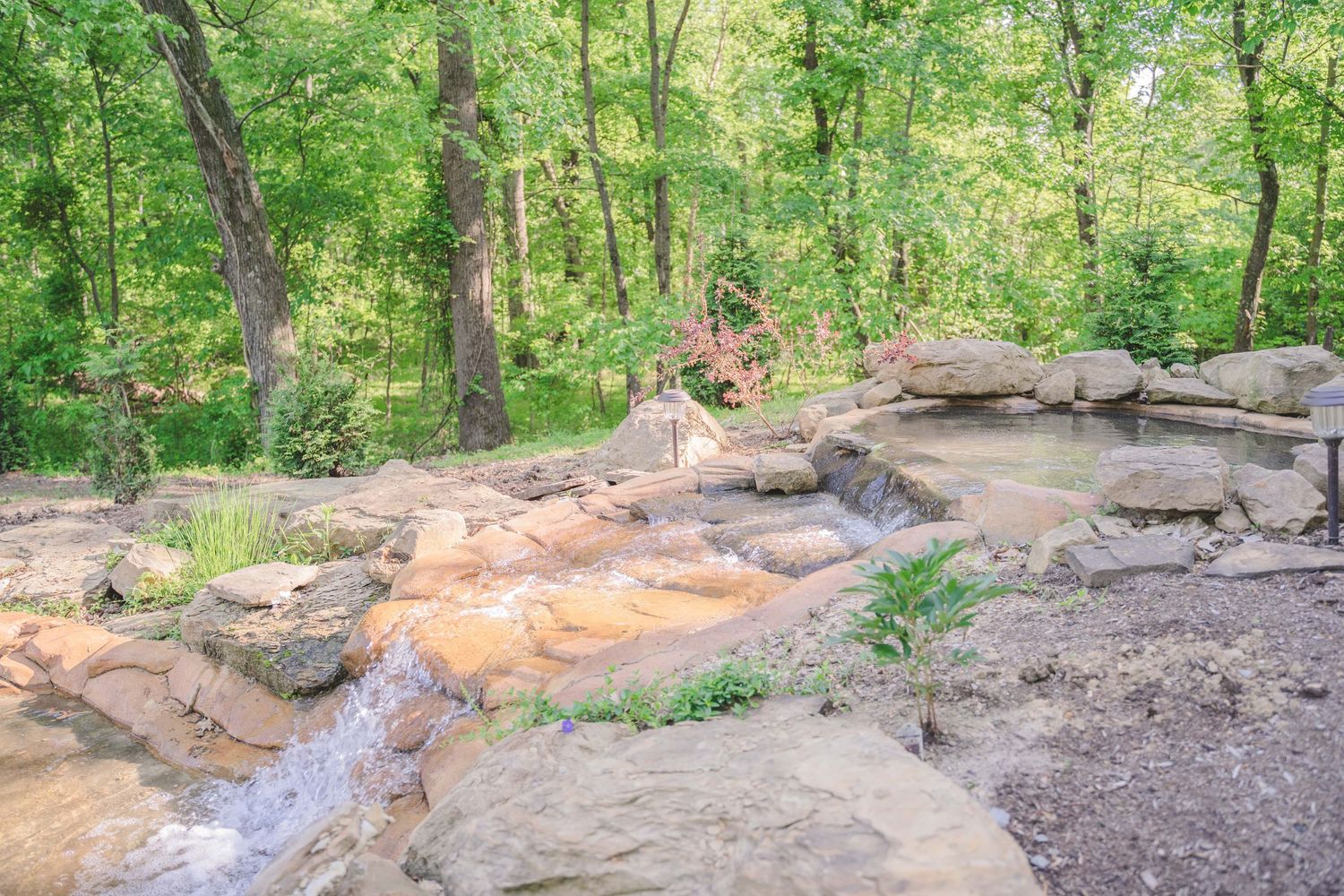 Dragonfly Wedding Venue by Mandy Kline Photography 8