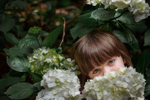 Girl amongst flowers at Piridianda Garden by Melbourne photographer Kate Cashin.