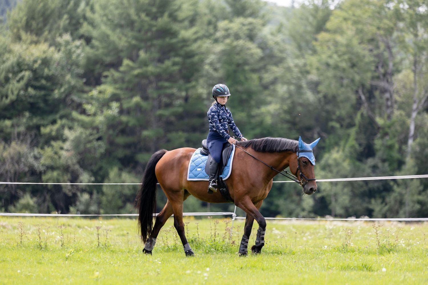 young equestrian dressage Equestrian Stockholm Equifit Micklem New Hampshire summer equine photography