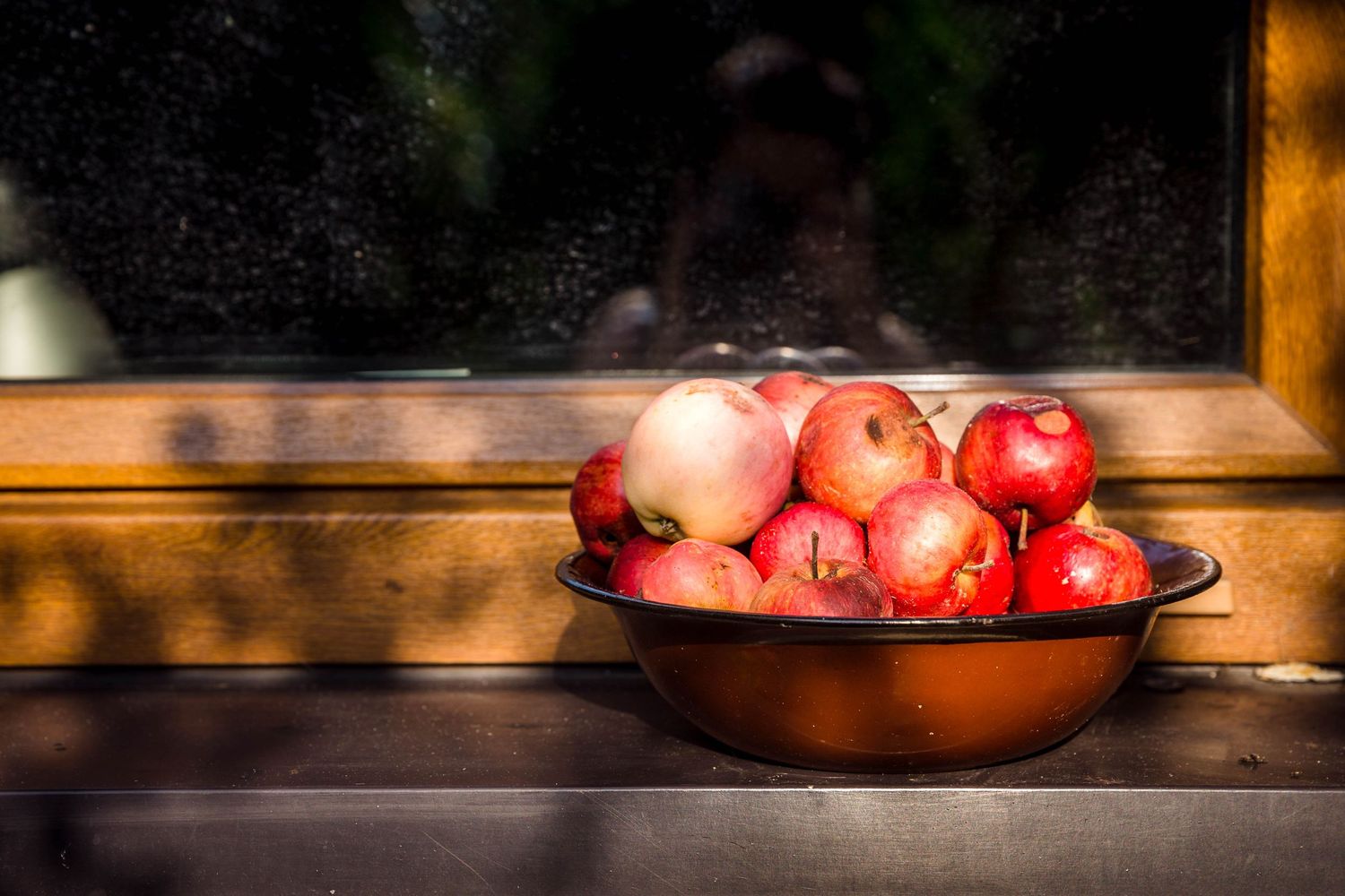 apples in bowl summer sunshine
