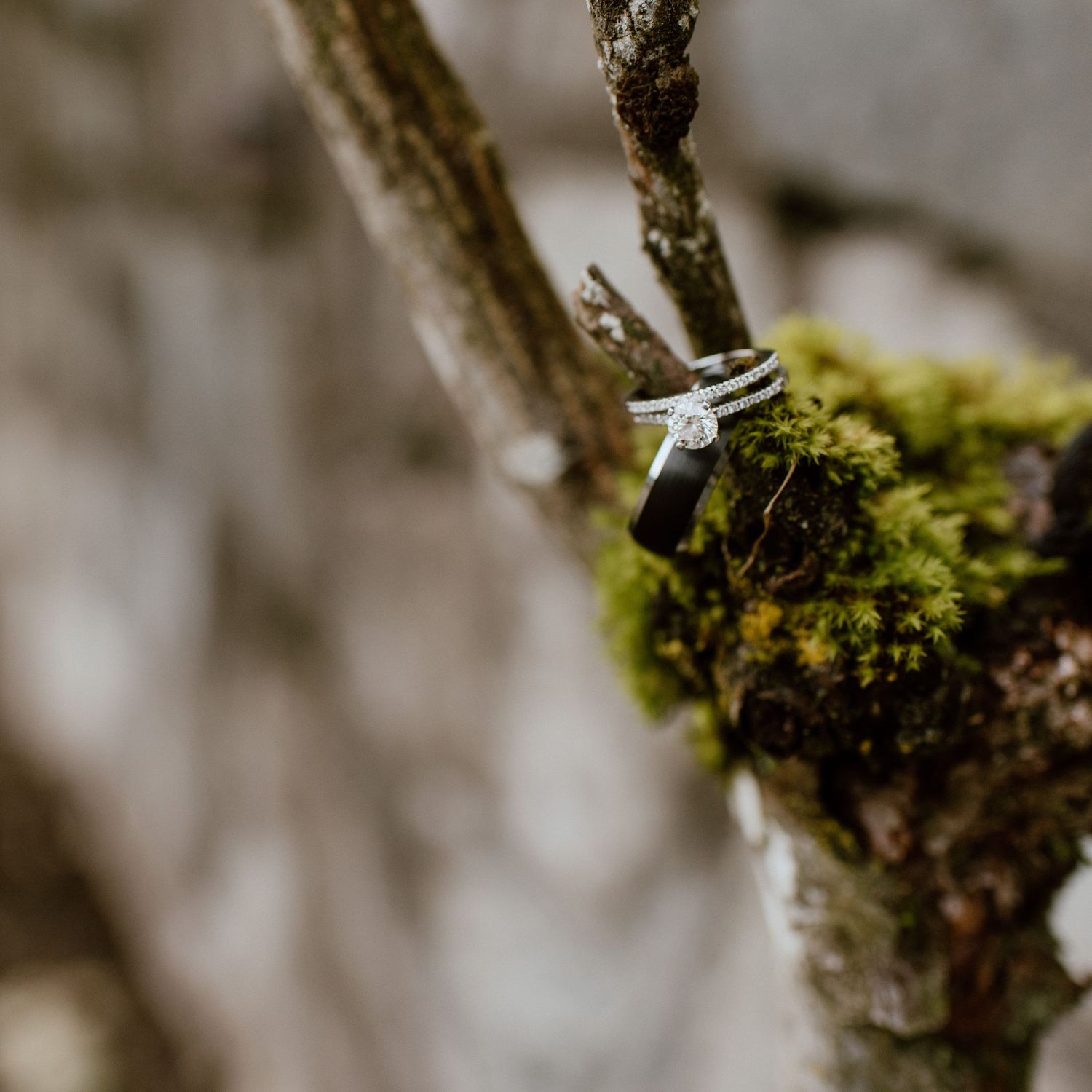 wedding-rings-photo-in-branches-and-moss-rowena's-inn