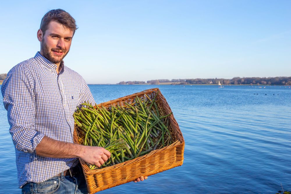 asparagus farmer, rutland water, England