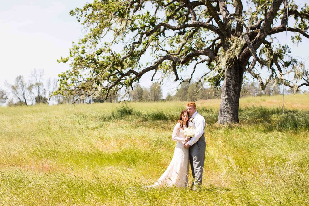 bride and groom embrace in an open, grassy field near an oak tree