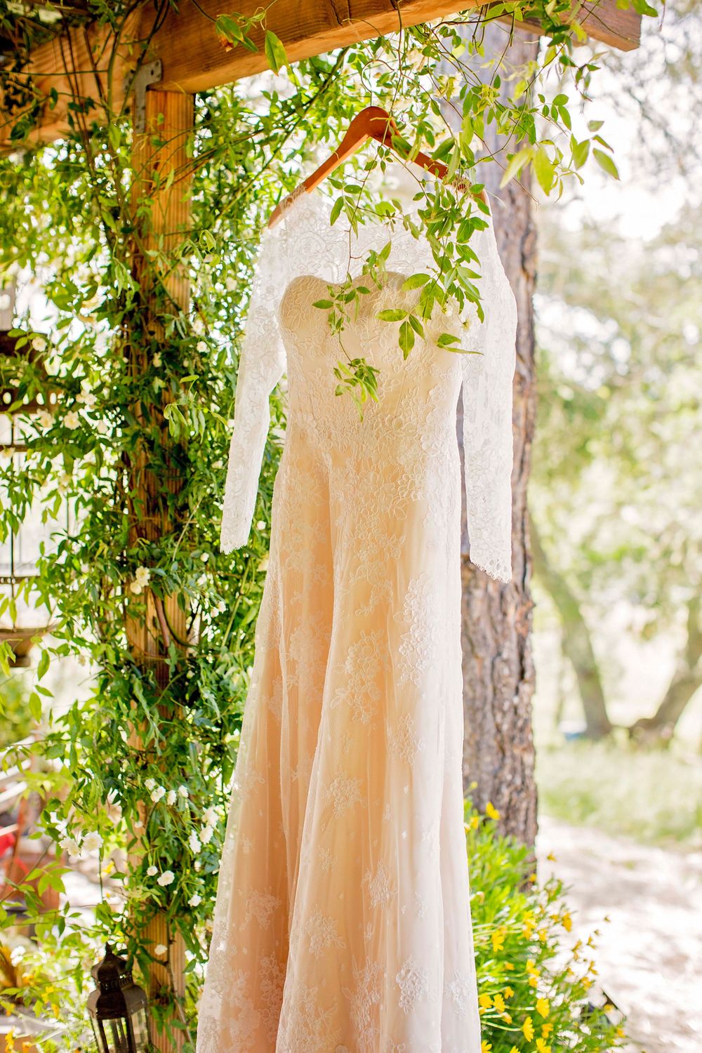 wedding dress hanging in a garden setting