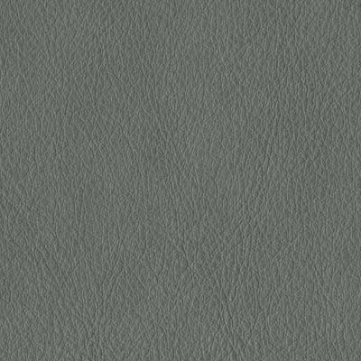 smoke grey distressed leather album colour swatch