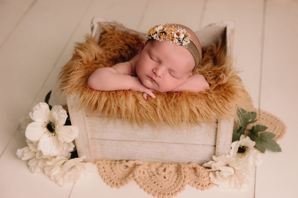 newborn girl posed upright in wood crate with chin resting on hands mustard yellow layer and white flowers