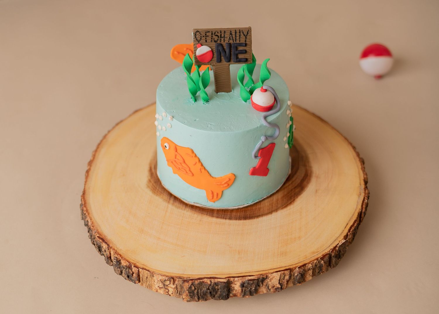 Professional cake smash cake