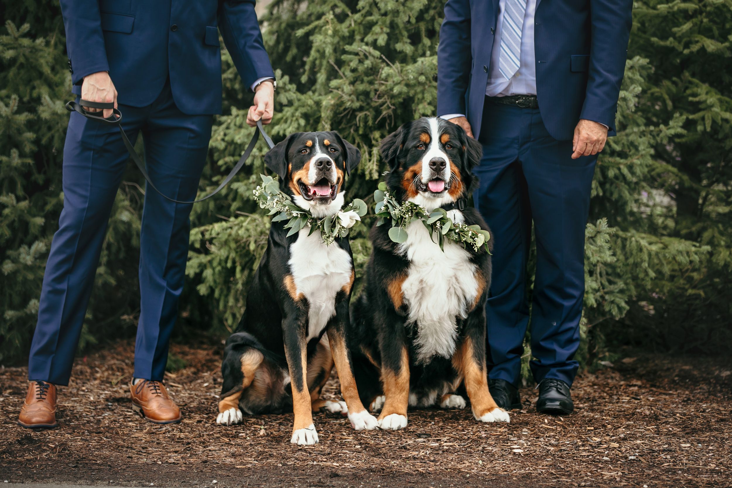 Elora Mill Wedding Photos The Foundry Ceremony