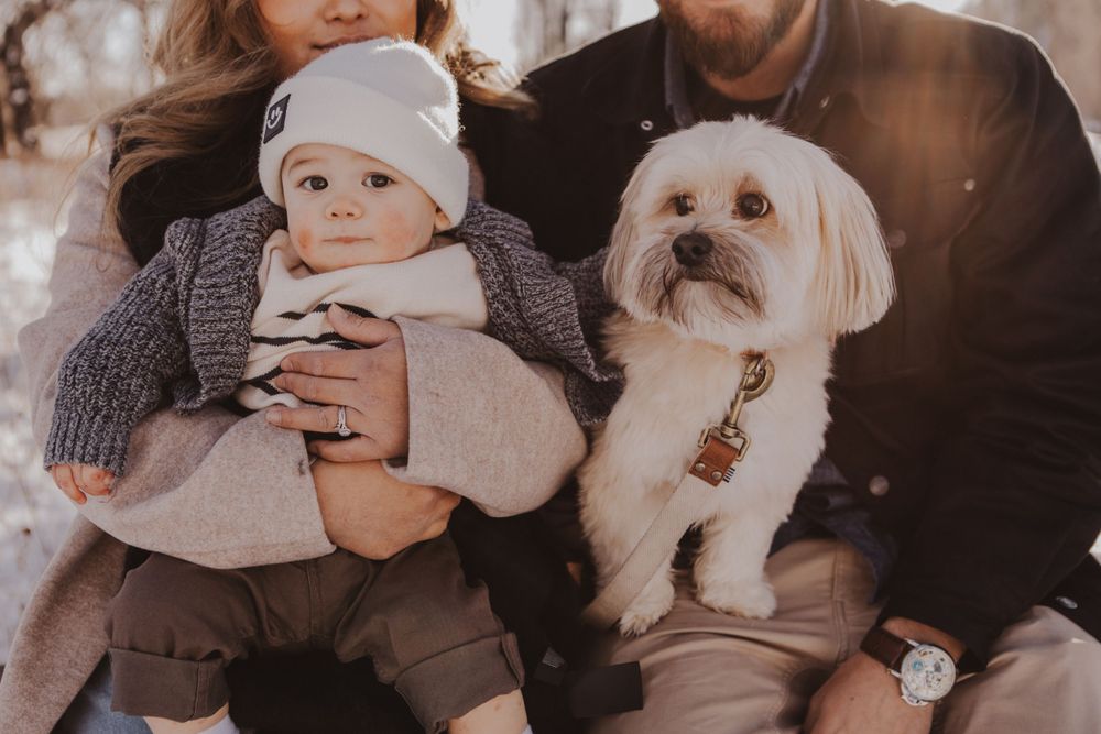 Calgary Maternity Photographer | YYC Outdoor Maternity Sessions | Natural Light, Lifestyle & Family Photography in Alberta & Surroundings