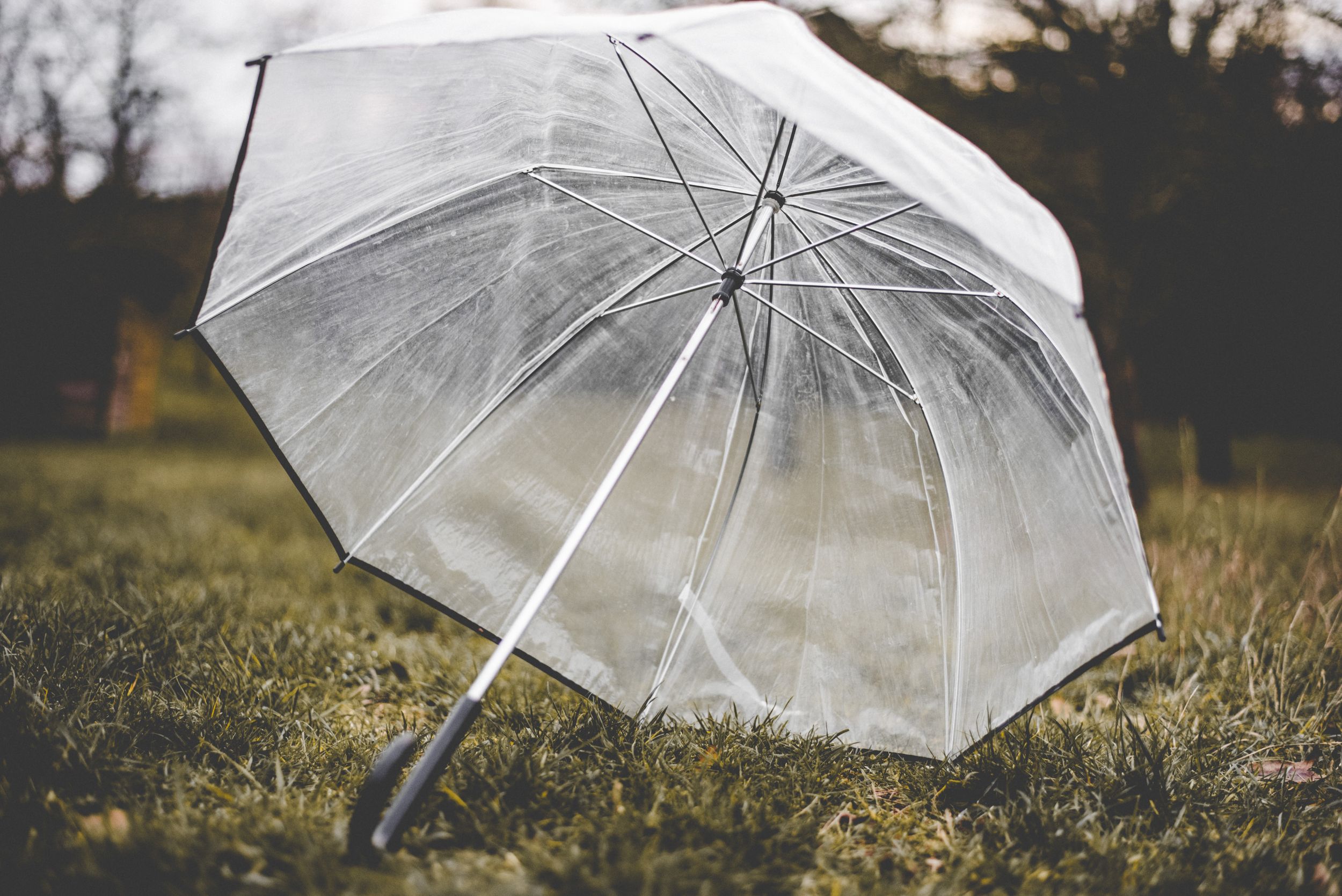 Hochzeit regen, Hochzeitsfotograf Frankfurt, hochzeitsfotograf darmstadt, Hochzeitsfotograf, Dianas Ideenreich