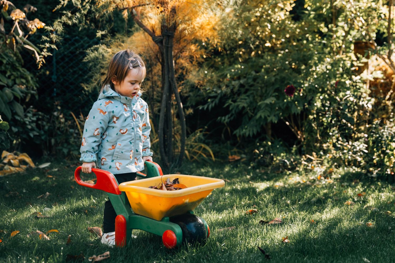toddler girl holding wheelbarrow in garden