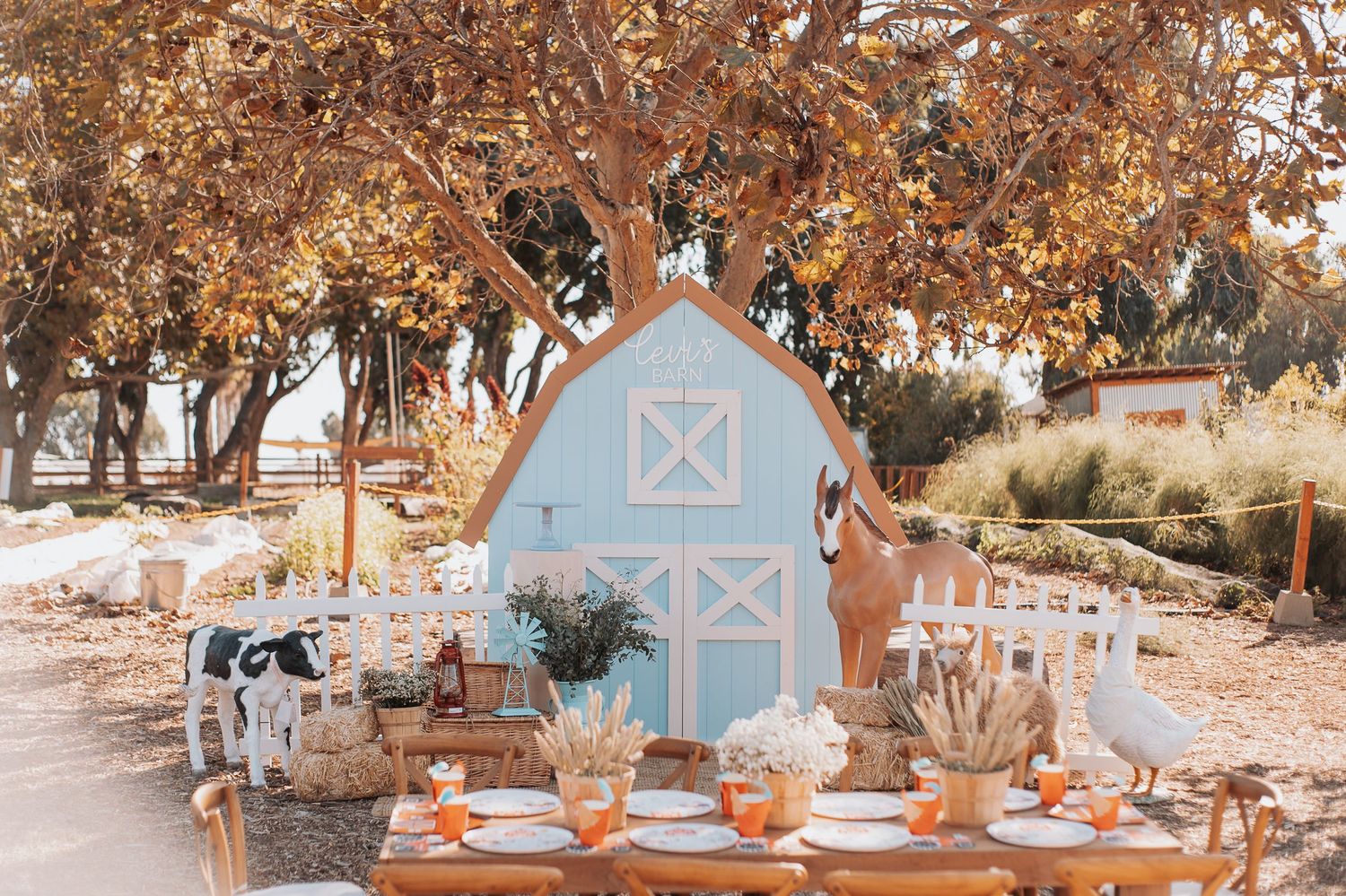 A rustic farm-themed party setup with a light blue barn backdrop and elegant table settings.