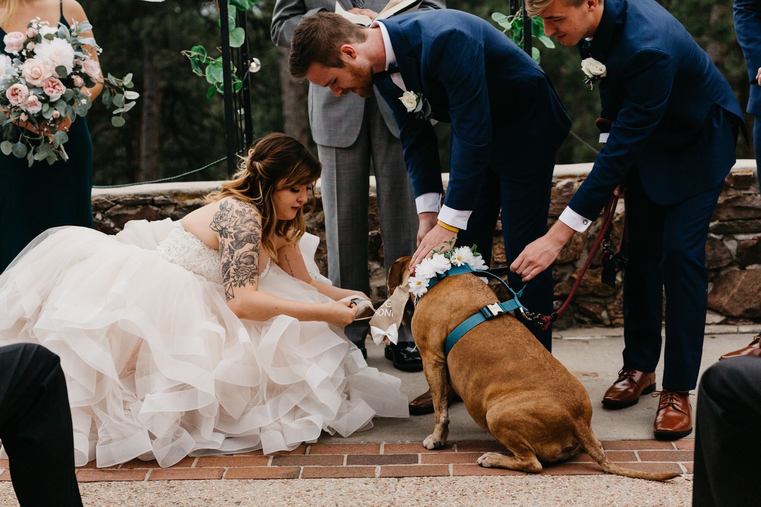 emotional portraits, dog, ceremony, colorado, mountain, wedding, golden, best colorado wedding, mansion, beautiful