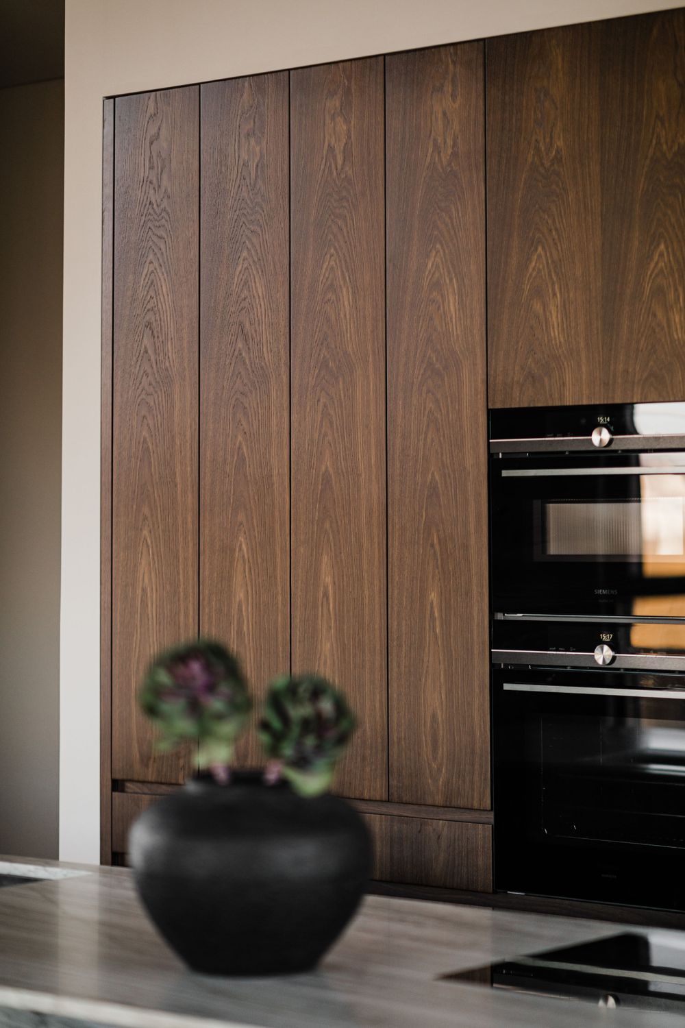 Modern kitchen with dark wood paneling and built-in black appliances, featuring a black potted plant.