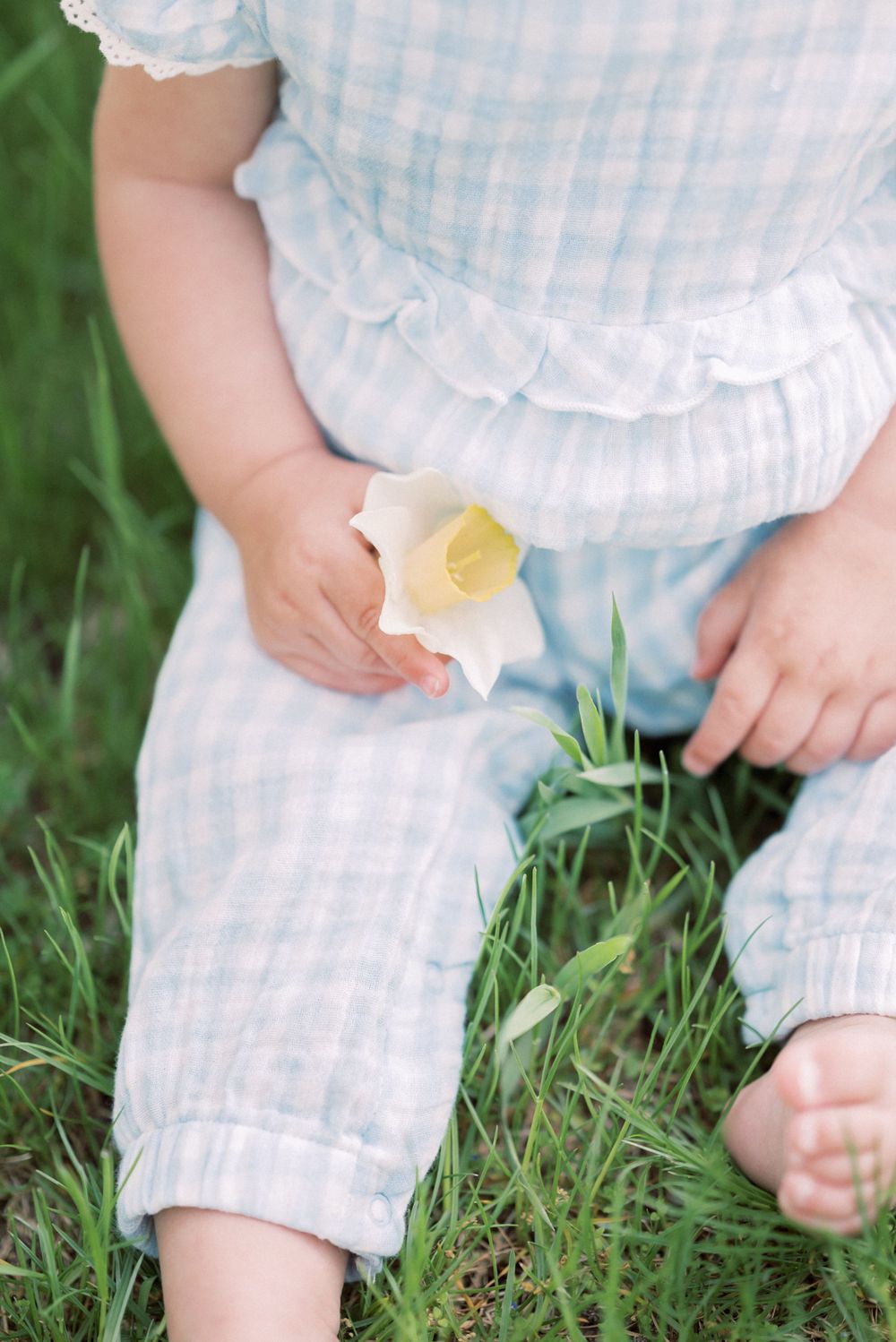 Close-up of small hands holding a fresh daffodil flower in spring grass.