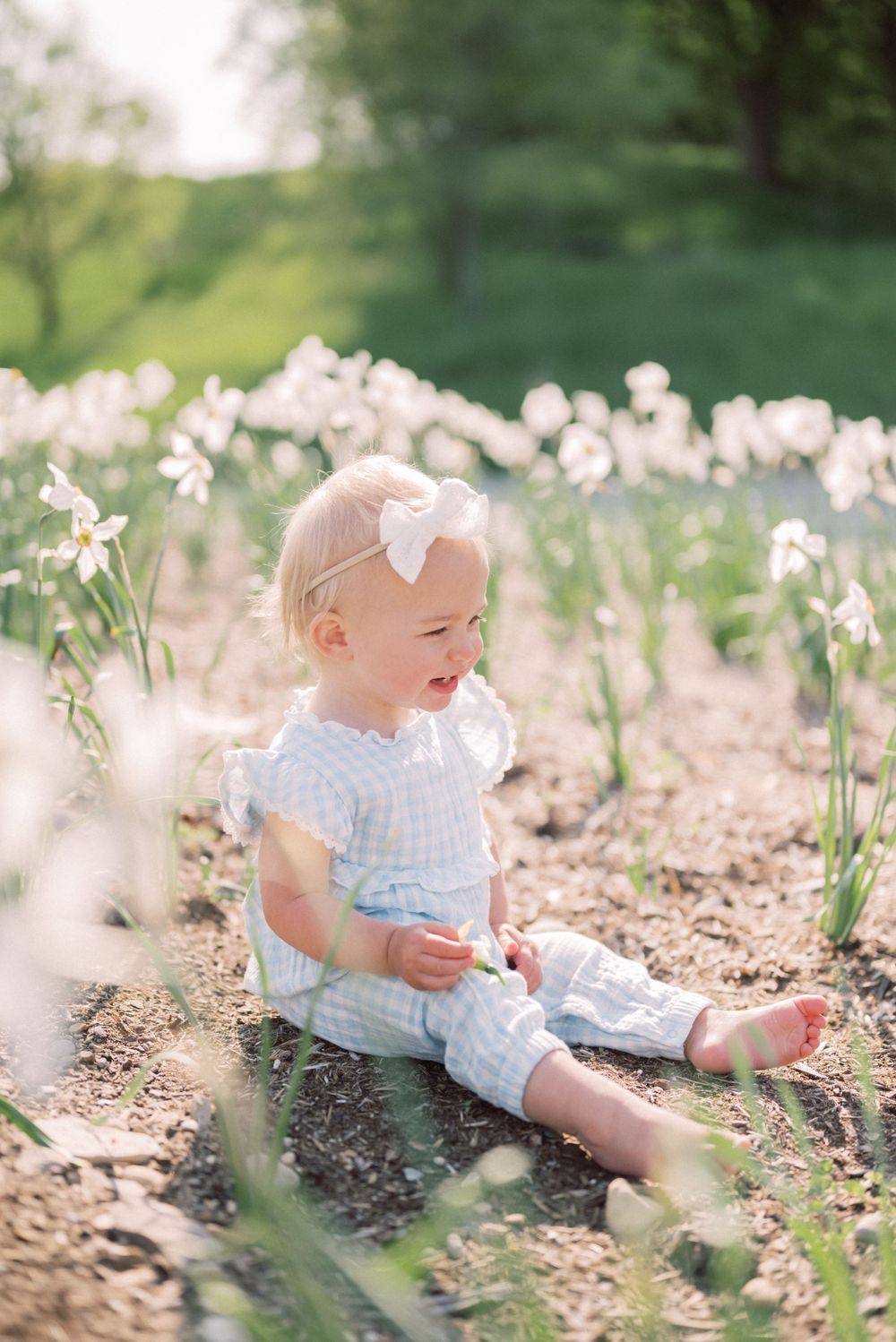 A small child wearing blue sits among blooming white flowers in a garden setting.