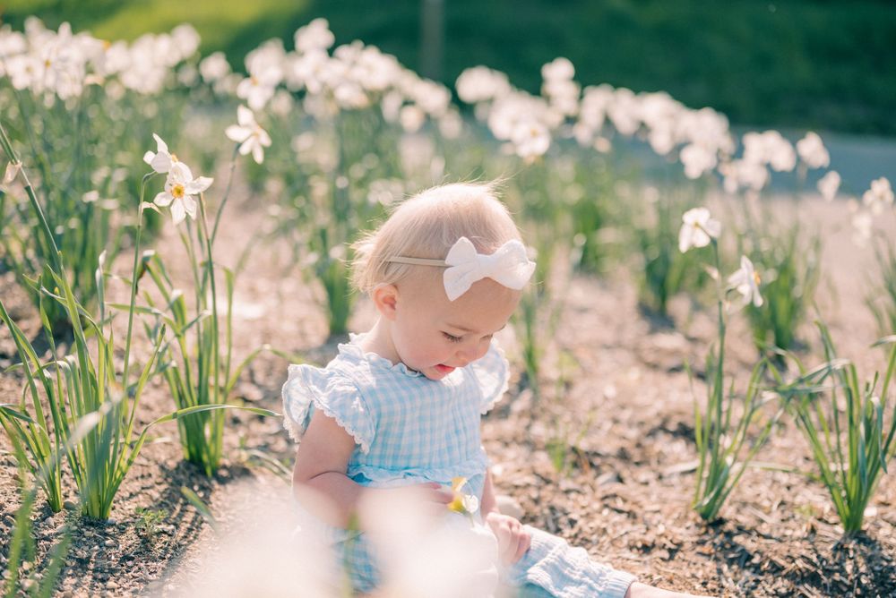 A sweet springtime scene in a garden of blooming flowers.