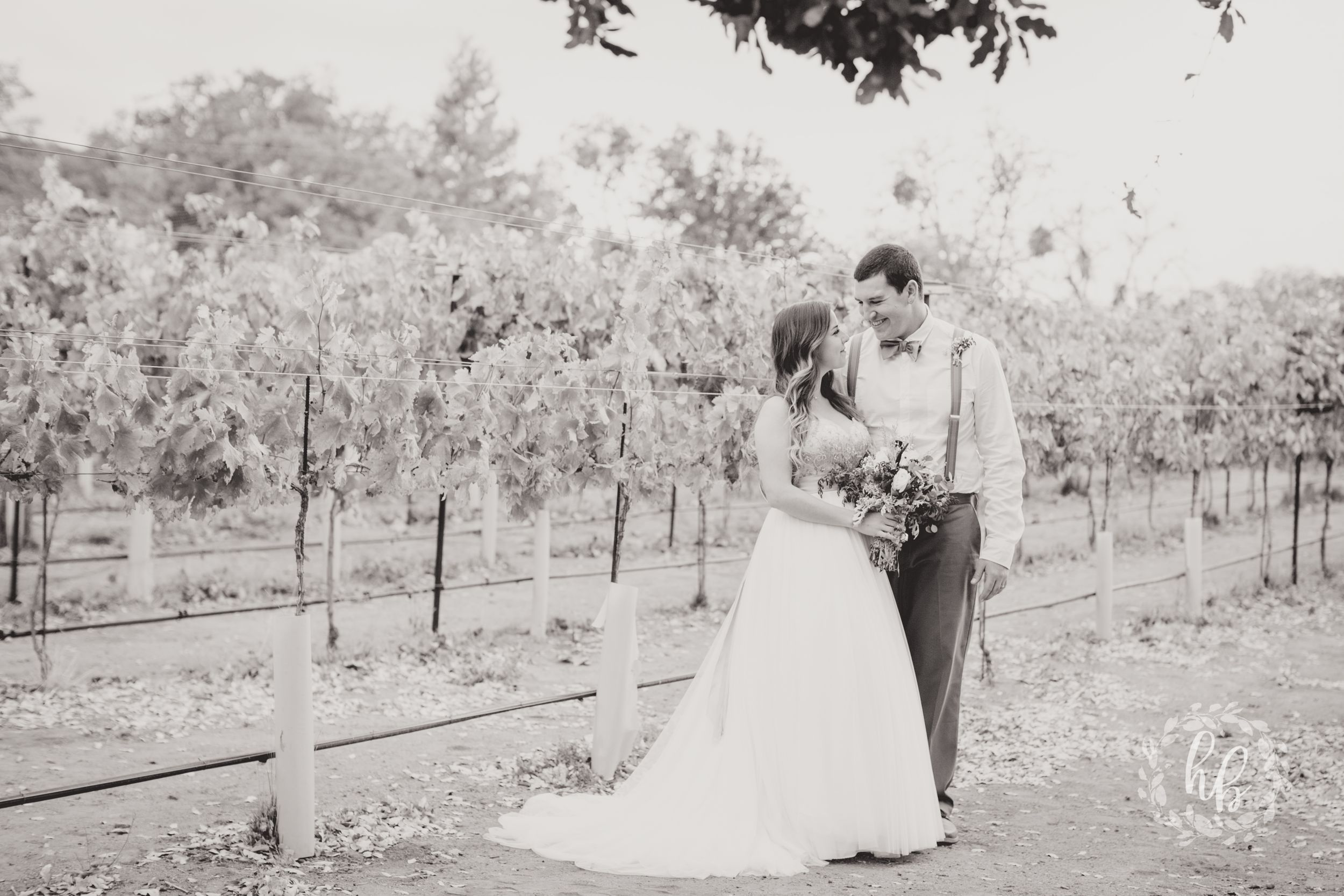 Dorner Family Vineyard Fall Wedding Los Angeles Wedding Photographer