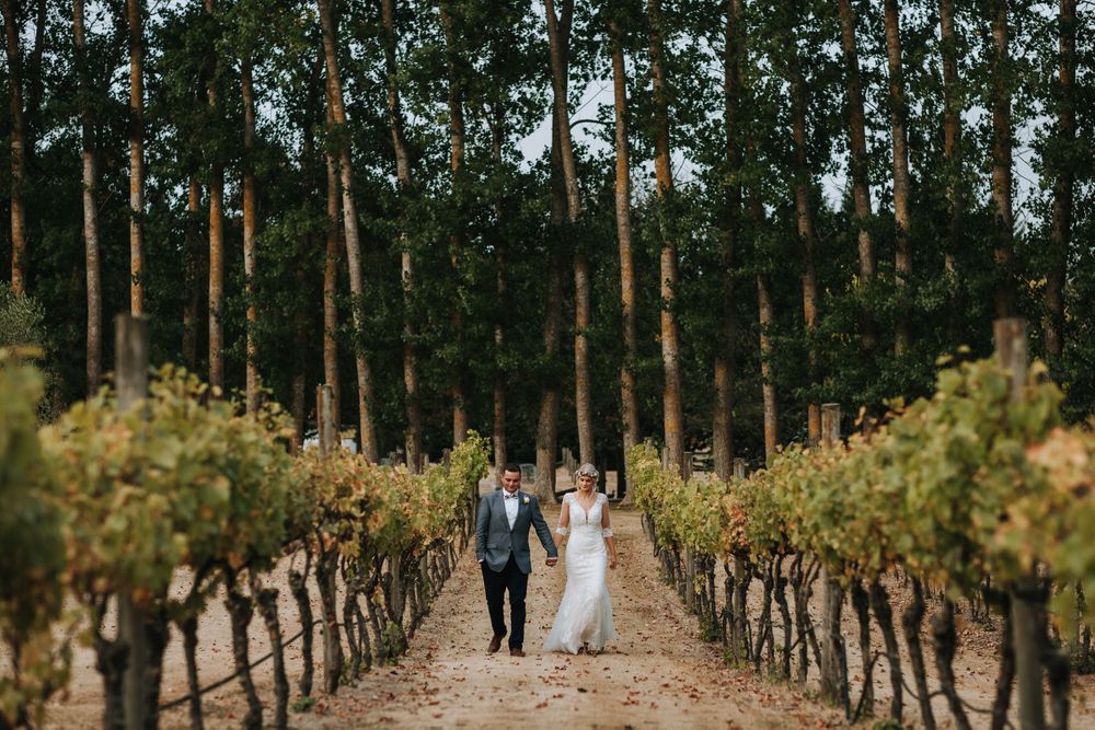 Bride and groom walking between vines at Langdale Vineyard