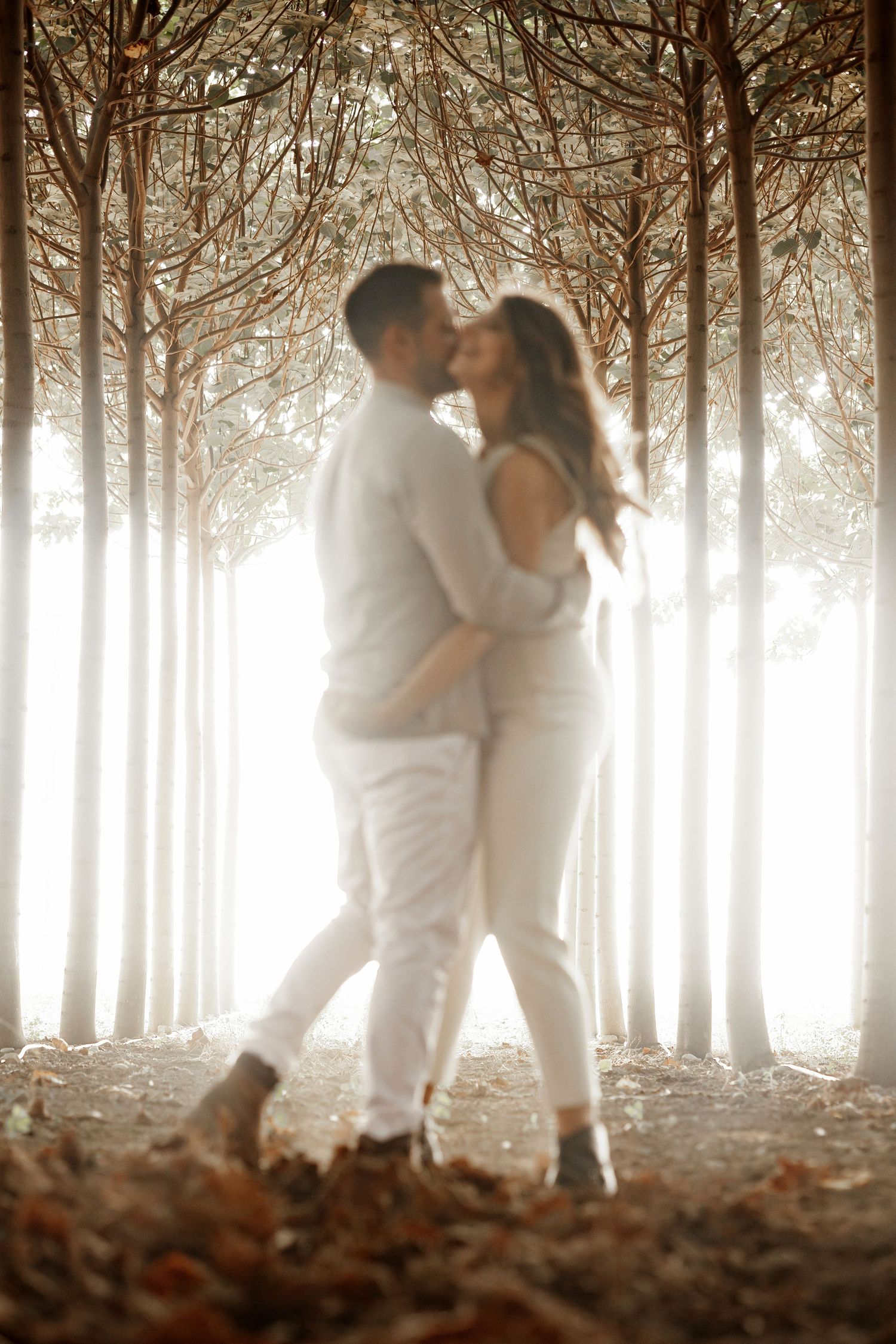Puglia - couple - prematrimoniale - sessione di coppia - natura - bosco - piantagione di Paulonia - wedding photographer