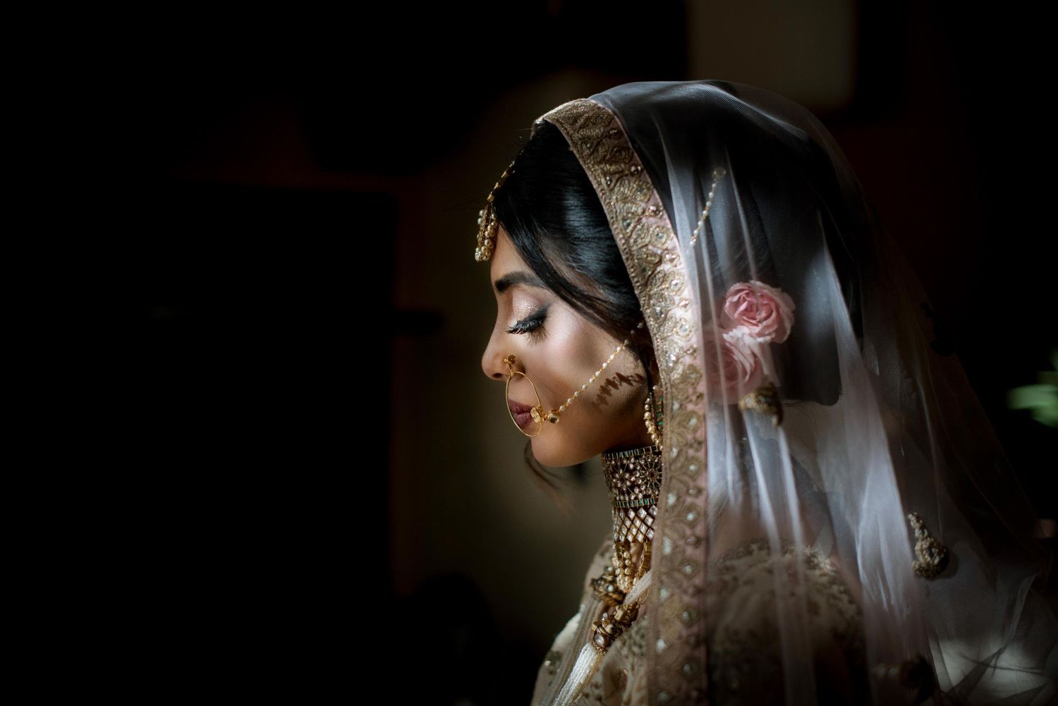 Stunning South Asian Bride Photos