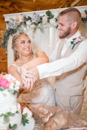 bride and groom cut the cake