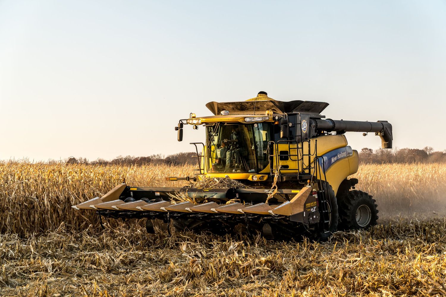 Modern yellow combine harvester working in a dry cornfield during autumn harvest season.