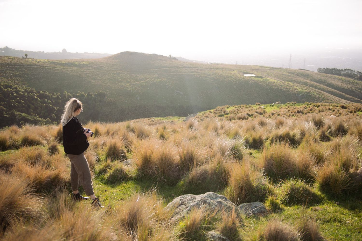 photography, workshop, christchurch. new zealand
