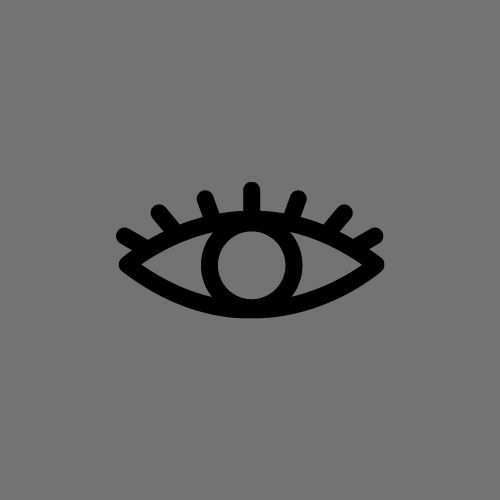 View your gallery eye icon