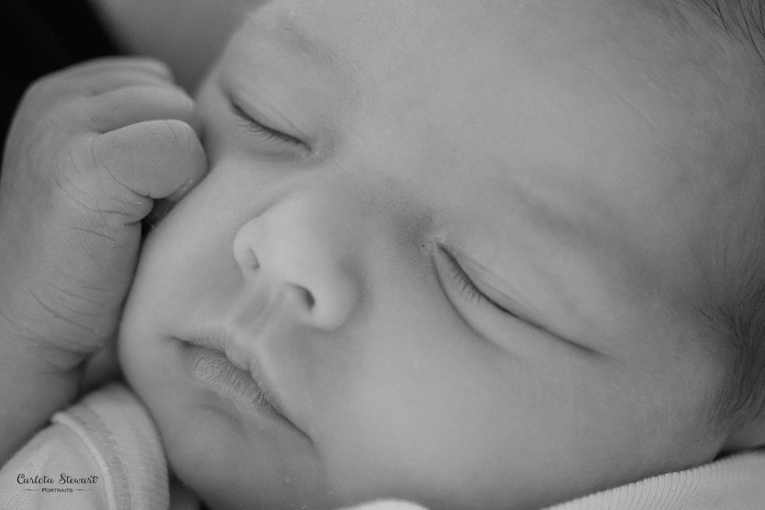 Newborn Photography Vienna- Carlota Stewart