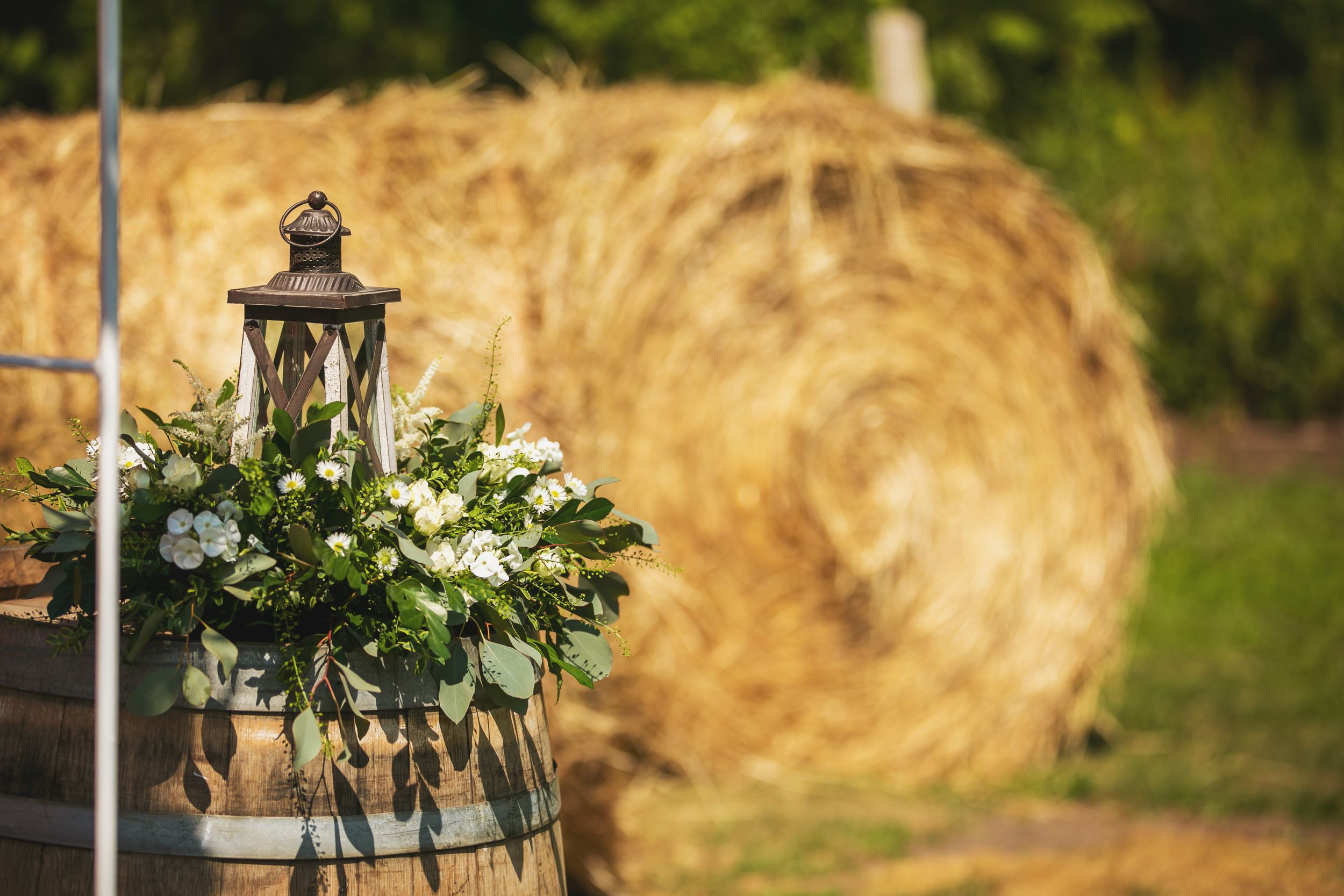 Rustic Backyard Farmhouse Wedding Photos Colborne Ontario by Shawn Van Daele