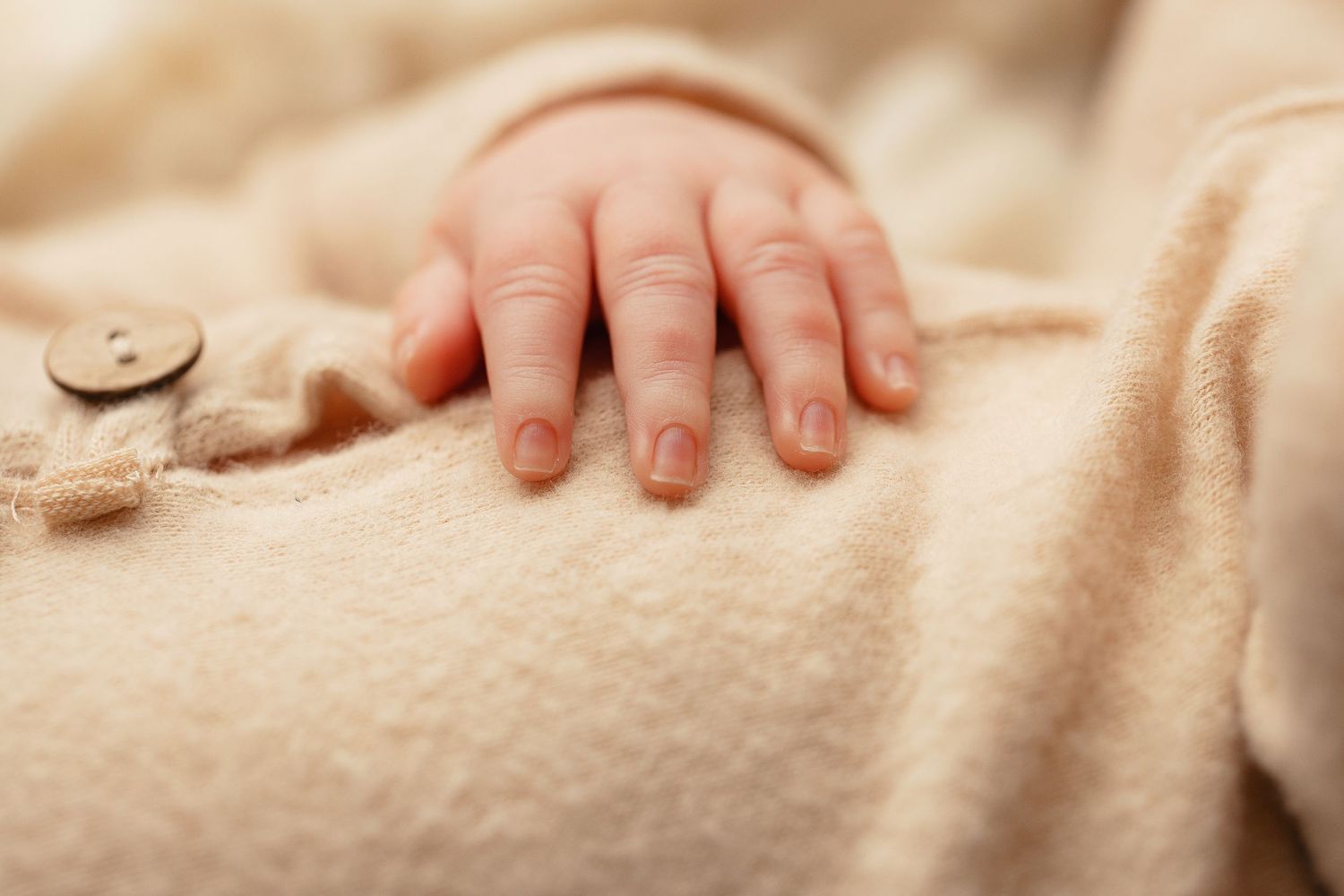 carmel baby photos