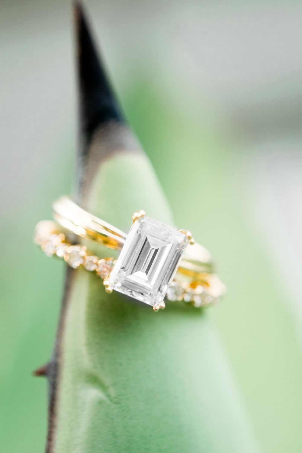 Richter and Phillips emerald cut engagement and wedding rings on tip of agave plant