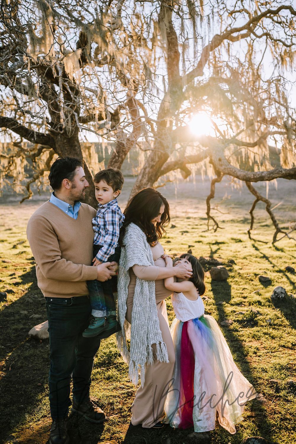 Sonoma County maternity photography session with beautiful pregnant mother, father, daughter, son at sunset