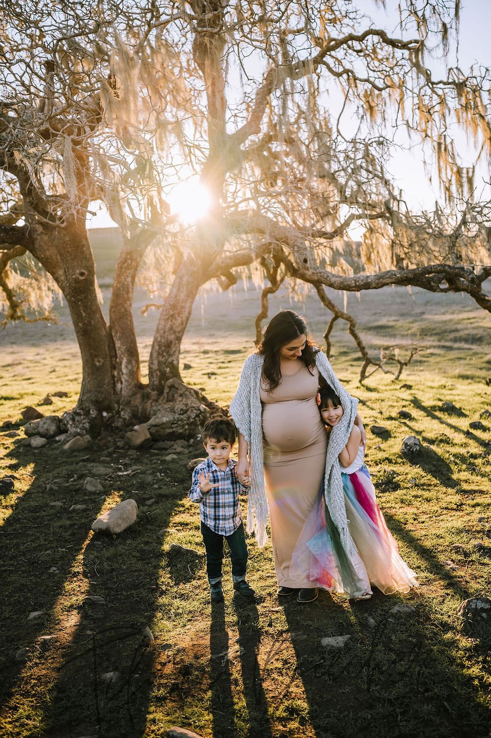 Sonoma County maternity photography session with beautiful pregnant mother, father, daughter, son at sunset