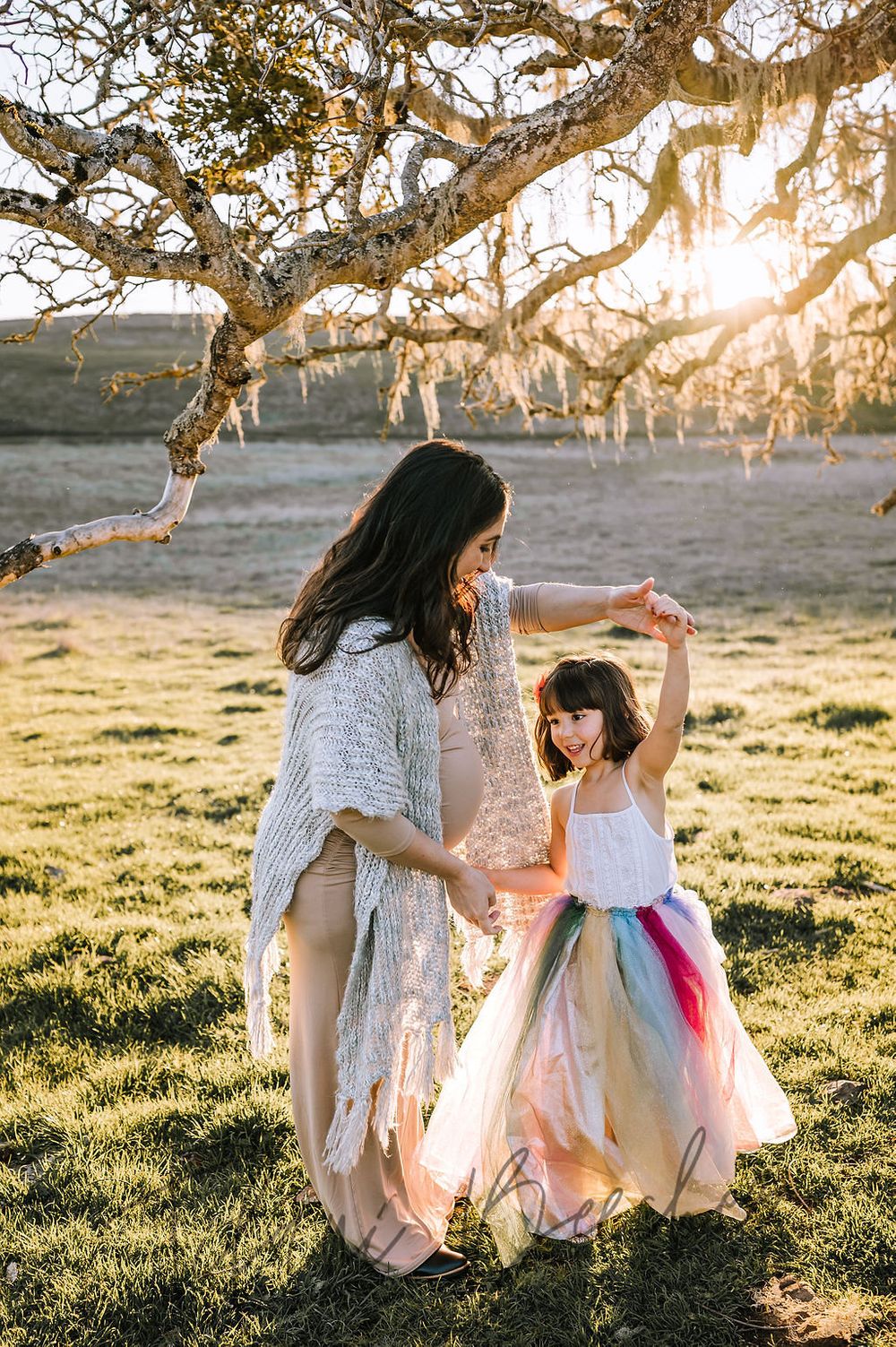 Sonoma County maternity photography session with beautiful pregnant mother, father, daughter, son at sunset
